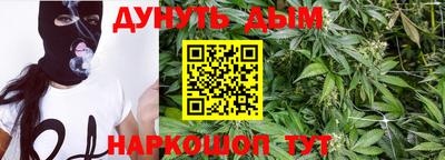 молекула духа Будённовск