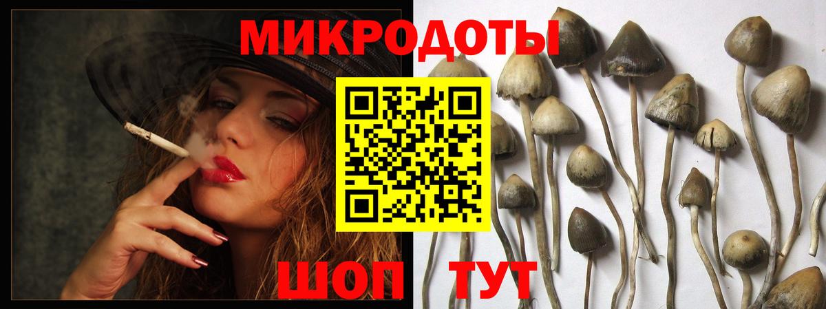 Кондопога  Галлюциногенные грибы GOLDEN TEACHER  Вход с VPN 