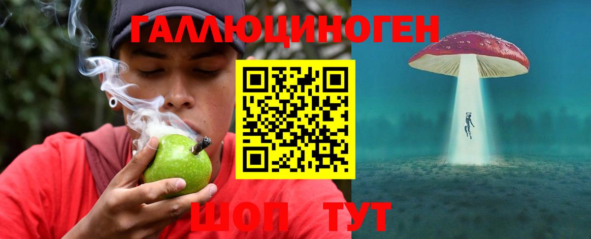 Галлюциногенные грибы мухоморы Кондопога